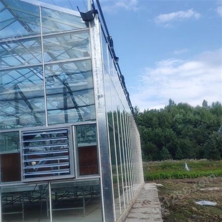 春丰温室-新连体大棚玻璃温室-可根据需求定制智能温室工程-外形美观