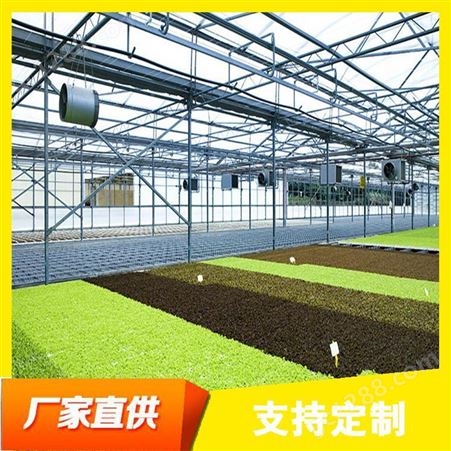 春丰温室大棚-智能温室 智能阳光板温室大棚 自动化玻璃温室