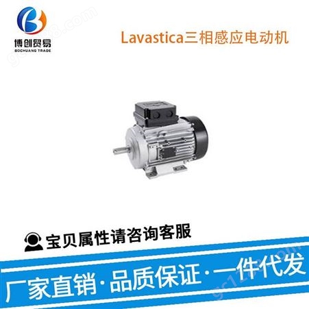 Lavastica三相感应 电动机 ATEX Zone 22 高压电动机