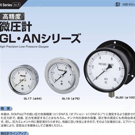日本长野计器NKS AN10温度计GL15
