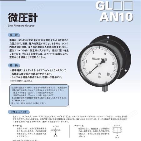 日本长野计器NKS AN10温度计GL15