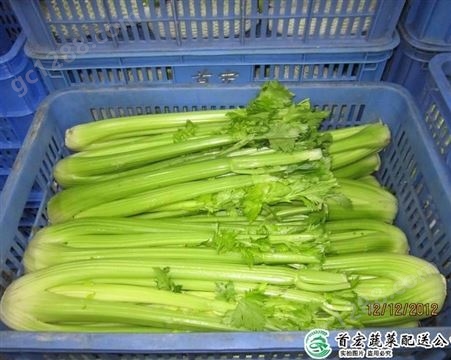 蔬菜配送公司_城市蔬菜配送公司_首宏蔬菜配送公司
