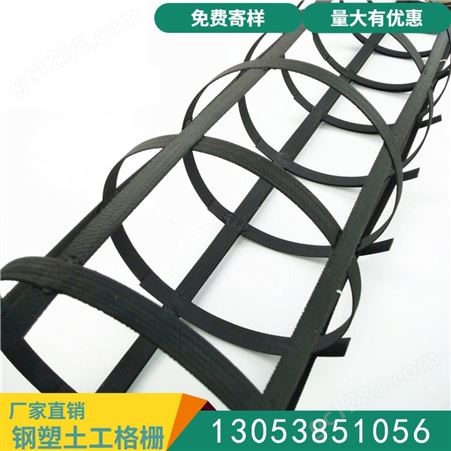 钢塑土工格栅 钢塑土工格栅GSZ80 100 地基加固高挡土墙 双向钢塑复合土工格栅