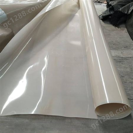 防水板生产厂 贵州隧道eva吊带白色透明防水板
