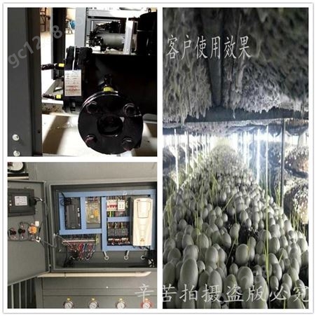 德州金葫芦食用菌出菇房空调设计安装 食用菌大棚空调报价