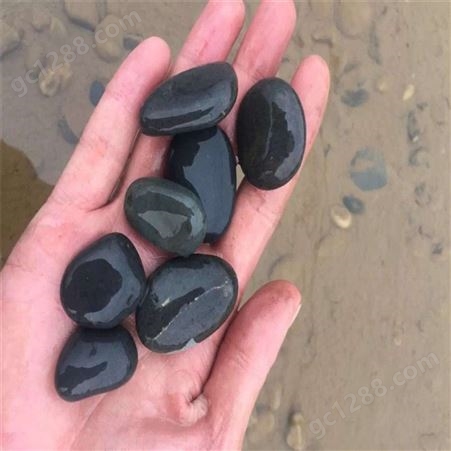 川青矿产直供 黑色鹅卵石 3-5cm 大颗粒 卵石铺路造景石料 卵石