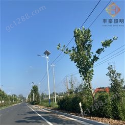 扬州太阳能路灯 节能太阳能路灯杆 太阳能路灯厂家
